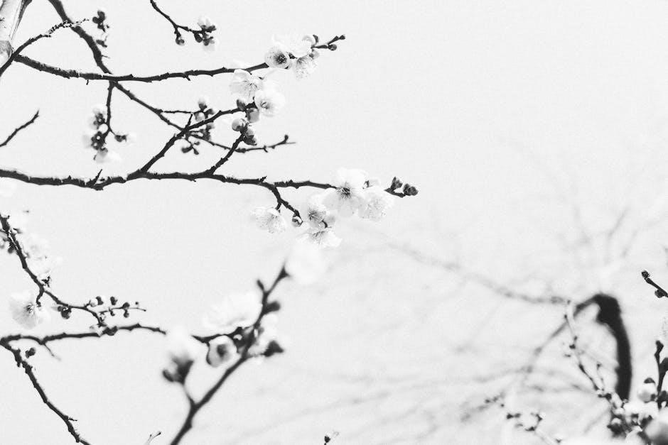 american government in black and white 6th edition pdf