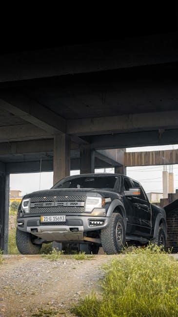 2009 f 150 owners manual